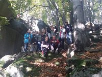 zloty lisc (27)